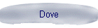 Dove